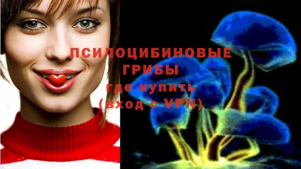 первитин Бородино