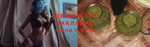 гидра Бугульма
