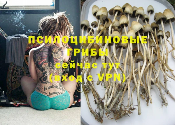 первитин Бородино