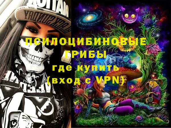 гидра Бугульма