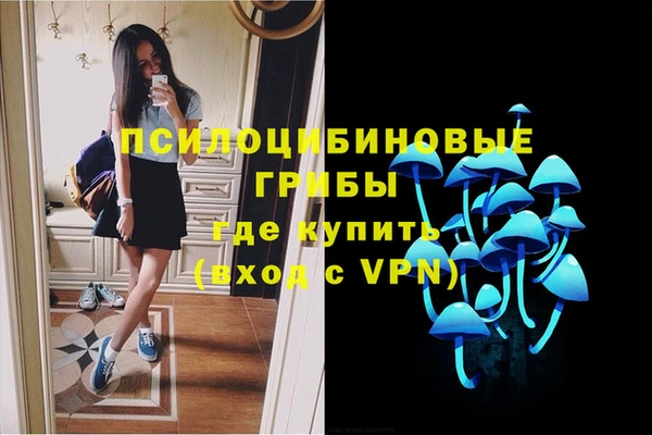ешки Богданович