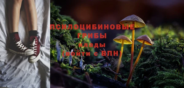 первитин Бородино