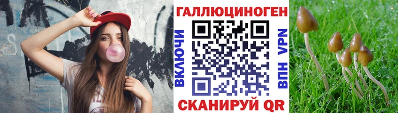 Псилоцибиновые грибы Psilocybe  Гремячинск 